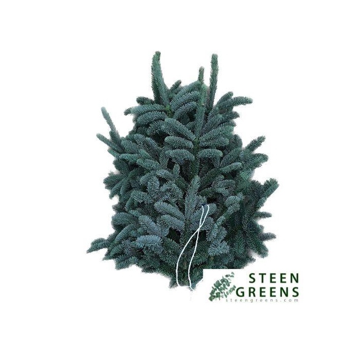 <h4>Abies Nob Blauw Kilo</h4>
