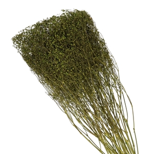Gyps 70cm 45g