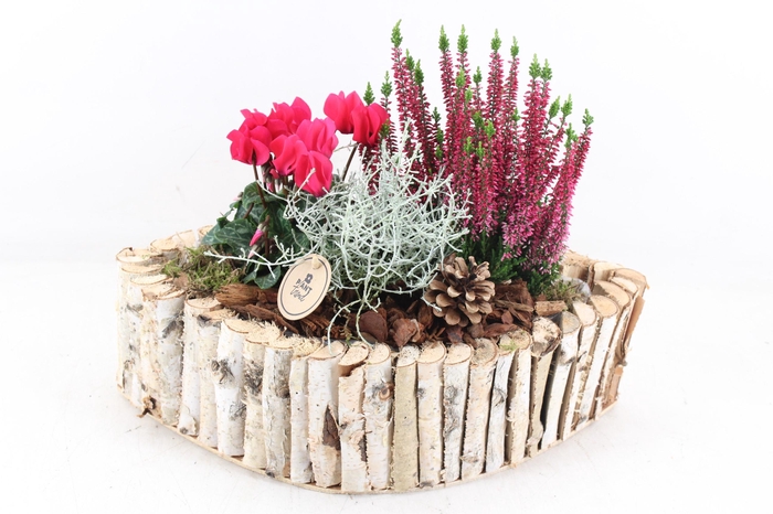 <h4>arr4 Outdoor PL - Hout kano L los</h4>