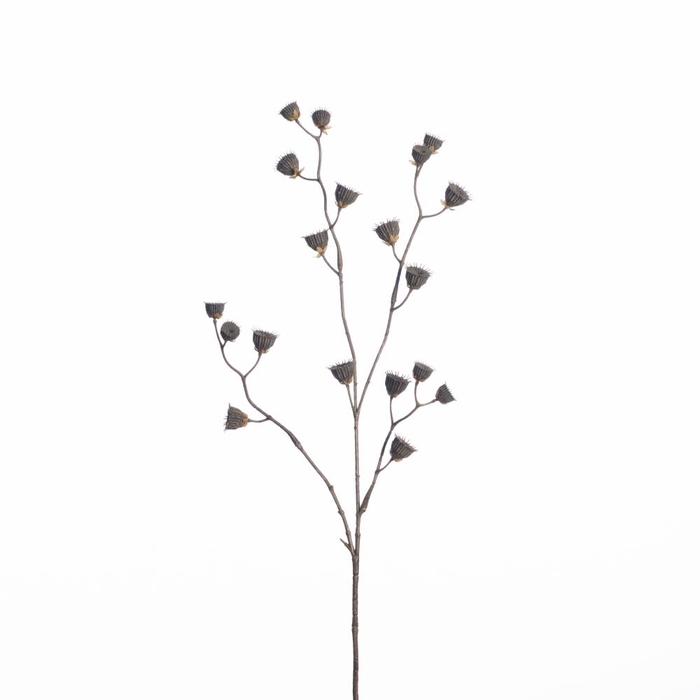 AF Abutilon sd spray L83cm nat