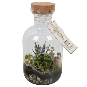 PTGIG2141 Arrangement Greens in glass in glazen fles