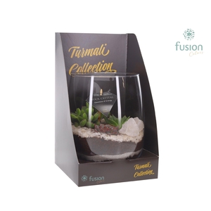 Glazen vaas Turmali Collection edelstenen met Succulent. Incl. Showdoos