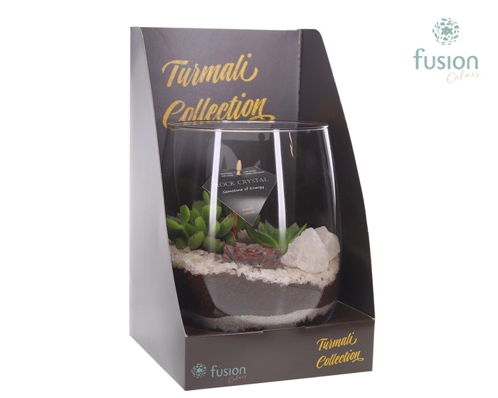 <h4>Glazen vaas Turmali Collection edelstenen met Succulent. Incl. Showdoos</h4>