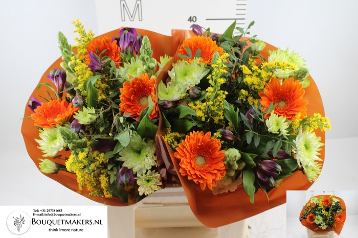 <h4>GEM BOEKET OV</h4>