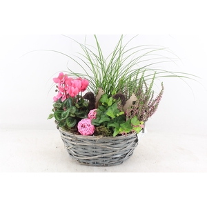 arr4 Outdoor VL - Riet mand ovaal grijs x2