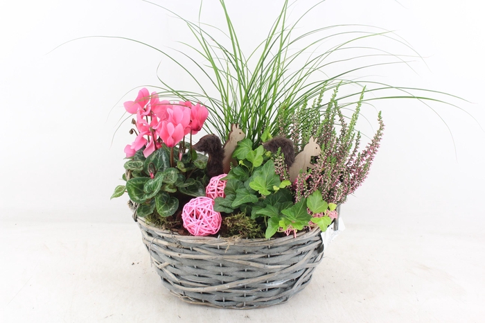 <h4>arr4 Outdoor VL - Riet mand ovaal grijs x2</h4>