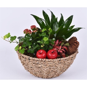 Touw schaal 24cm