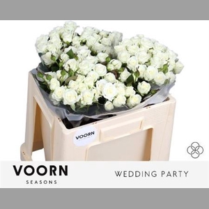 R Tr Wedding Party