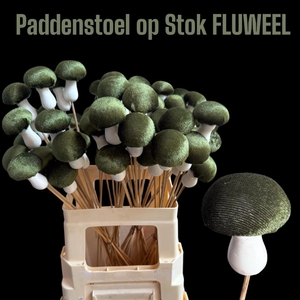 HUIS EN TUINDECO H%