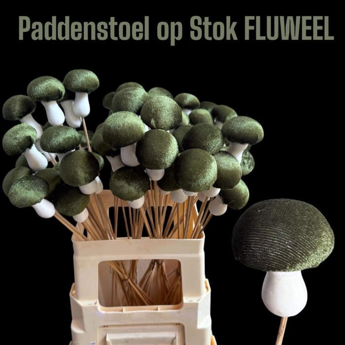 <h4>HUIS EN TUINDECO H%</h4>