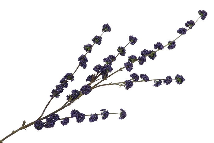 <h4>Silk Berry Callicarpa Blue 130cm</h4>