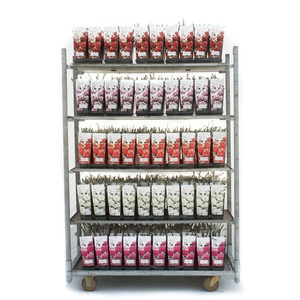 Parfum Roses 2L (geurend)