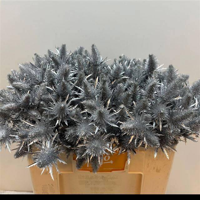 <h4>ERYN A OV KLB H%</h4>