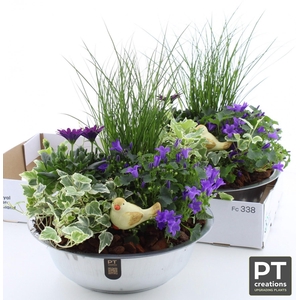 ARR TUINPLANTEN
