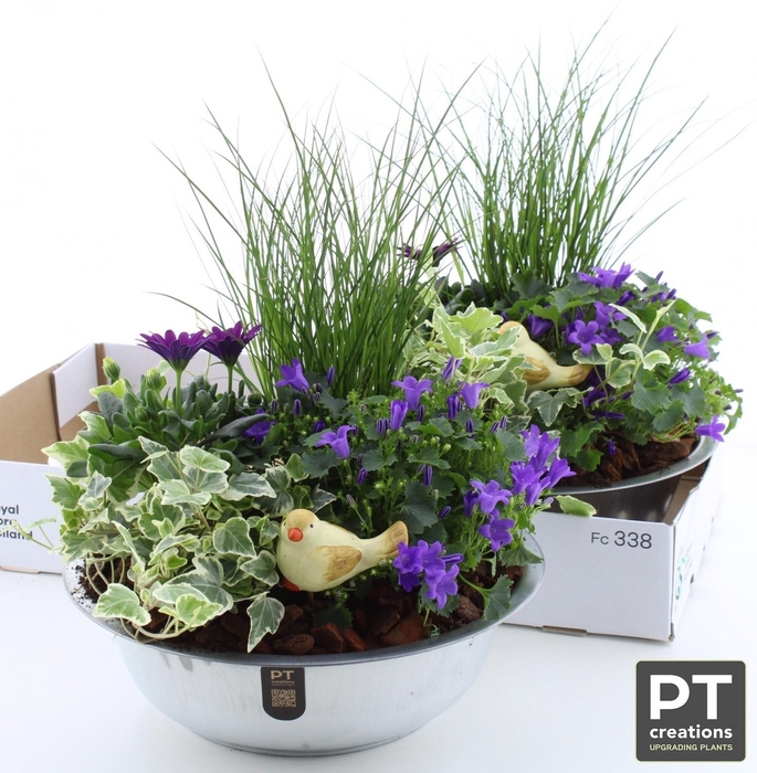<h4>ARR TUINPLANTEN</h4>