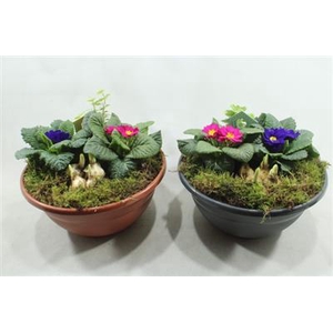 4983 SCHAAL KUNSTSTOH PRIM!!