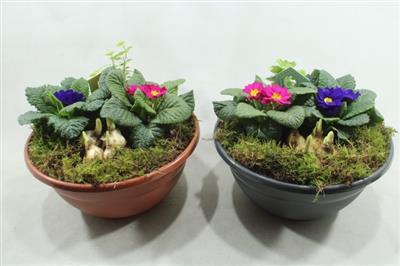 <h4>4983 Schaal Kunststoh Prim!!</h4>