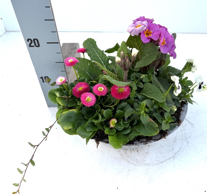 <h4>OVERIGE PERKPL</h4>