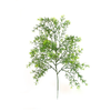 FOLHAGEM ASPARGO ALFINETE