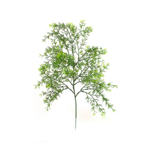 FOLHAGEM ASPARGO ALFINETE