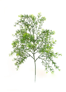 <h4>FOLHAGEM ASPARGO ALFINETE 060 CM</h4>