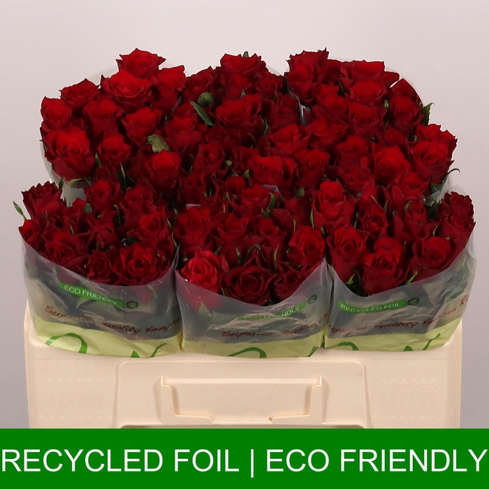 <h4>R GR VELOUS</h4>