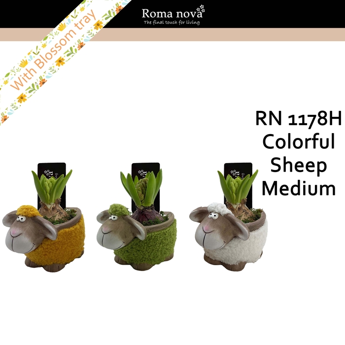 <h4>1178H - Colorful Sheep Medium (Hyacint)</h4>