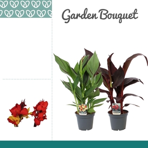 Canna Exclusieve Mix Zonder Bloem