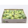 Sier Cucumis Mirio Bruin X4