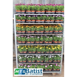OSTEO MIXSHELVE