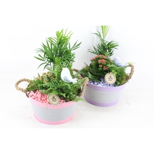 arr2 PL - Zink pot oor mix 285/4