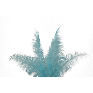 Feather ostrich blue light 5st/bunch