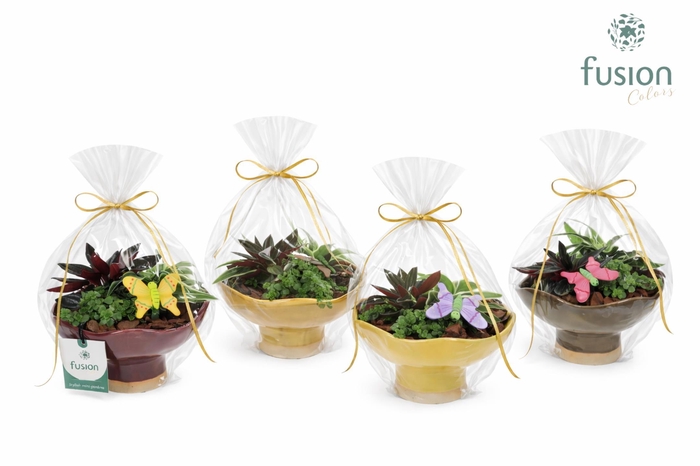 <h4>Keramiek schaal Medium met Voorjaar arrangement</h4>