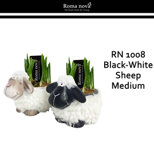 Narcis Rom 1008 Black White Sheep Medium