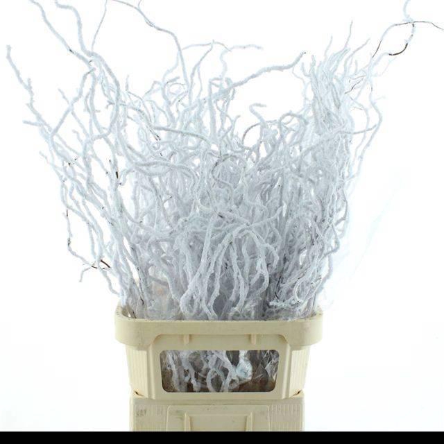 <h4>DECOGROEN OV KLB H%</h4>