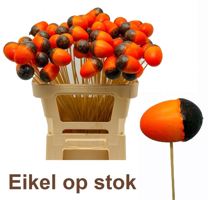 <h4>HUIS EN TUINDECO H%</h4>