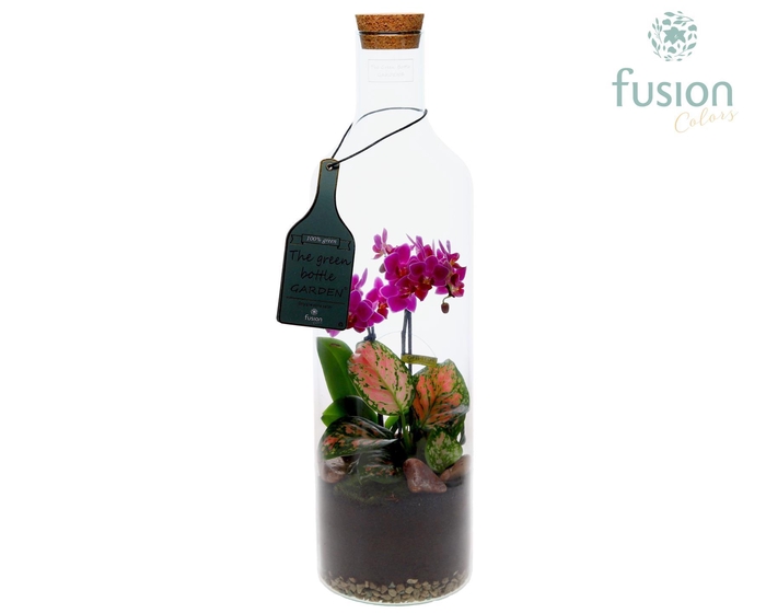 <h4>Green Bottle Fles Large met Phalaenopsis</h4>