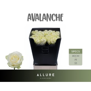 R Gr Avalanche White Allure Berg