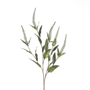 AF Veronica x5 L72cm White