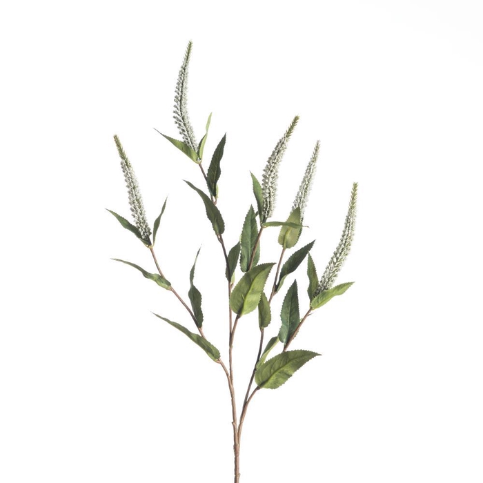 <h4>AF Veronica x5 L72cm White</h4>