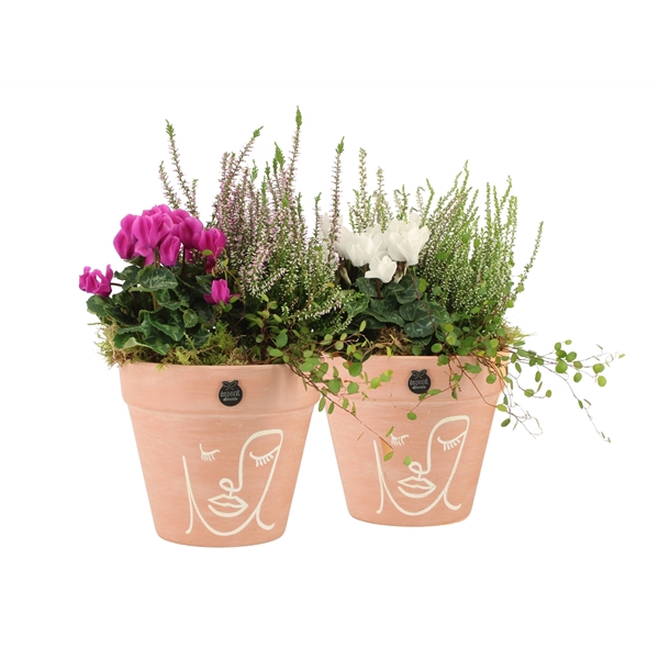 <h4>41448: Autumn Outdoor arrangement</h4>