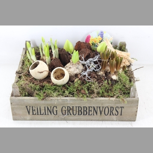 arr4 Bollenmix VL - Kist Grubbenvorst