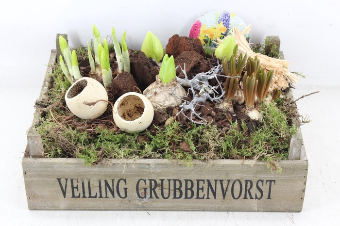 <h4>arr4 Bollenmix VL - Kist Grubbenvorst</h4>