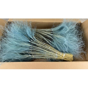 Df Stypha 60cm Bs Light Blue