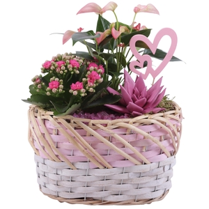 Mothersday Arr. Indoor Willow Basket Oval Threetone Ø25cm 3PP