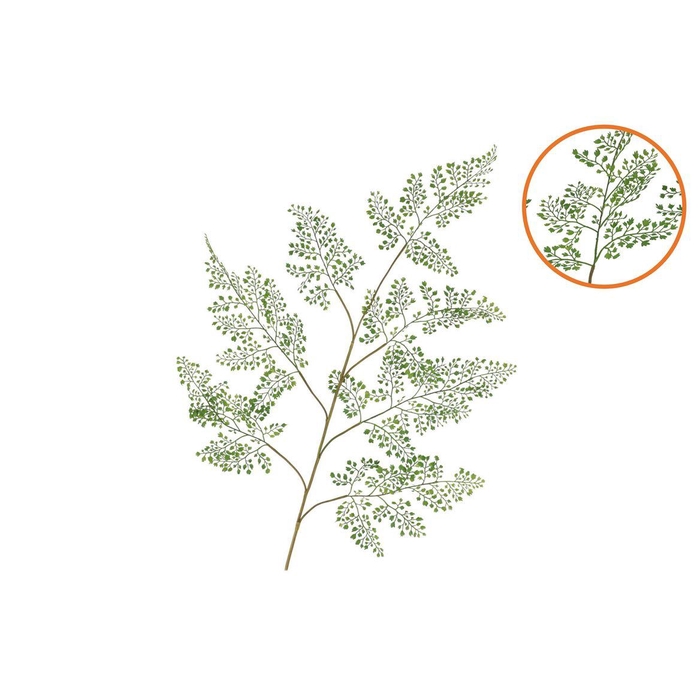 <h4>Silk Fern Maiden Hair Green 138cm</h4>