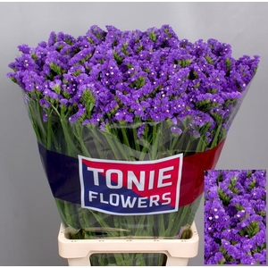 LIM S CRYST DARK BLU