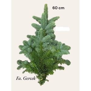 ABIES NOB BLAU BUND