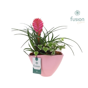 Pot keramiek ovaal Medium met Arrangement