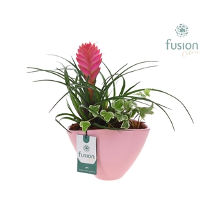 Pot keramiek ovaal Medium met Arrangement